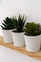 Plastic plants in white pots on a wooden shelf. Interior decor.