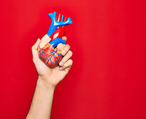 Beautiful hand of man holding artificial heart over isolated red background