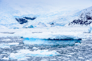 Pieces of ice on the surface of the ocean in Antarctica