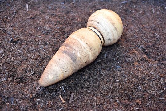 Straight classic dibber. Wooden garden tool for drilling seeds and planting seedlings It is sharpened stick to more complicated model with a curved handle and pointed end made of wood steel or plastic