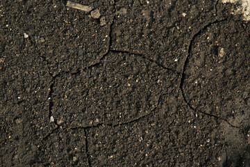 Texture surface of fertile black soil with cracks after drying.
