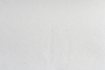 Texture of a light paper towel background. Place for text