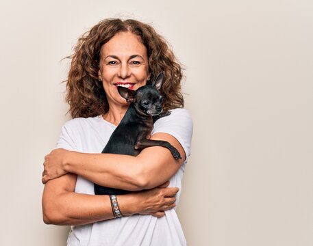 Middle age brunette woman holding cute little chihuahua dog over isolated background looking positive and happy standing and smiling with a confident smile showing teeth