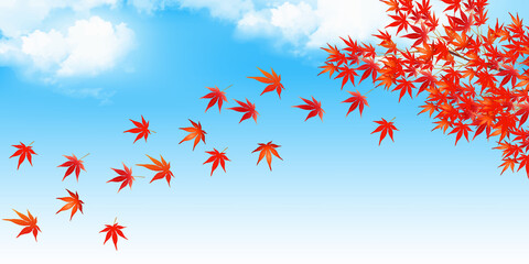 紅葉　もみじ　秋　背景
