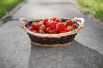 strawberries basket on gray concrete background
