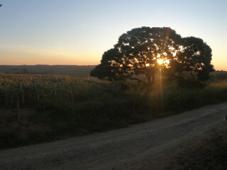 Fotos por do sol na fazenda, inverno em são paulo brazil