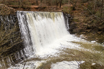 waterfall in the forest