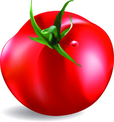 Ripe tomato isolated on white background