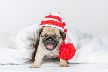 Pug puppy wearing a warm hat sits under warm blanket on the bed and yawning