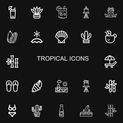 Editable 22 tropical icons for web and mobile