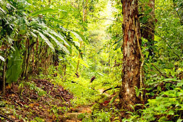 A beleza de nossa natureza
