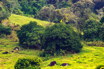 A beleza de nossa natureza