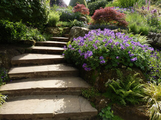 going up the garden staircase with wide steps and geranium bushes around