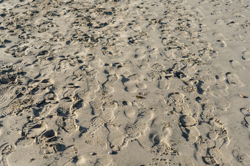 Footprint Shoe On Beach; Texture or Background