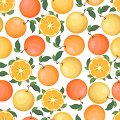 Seamless vector pattern with colorful oranges isolated on white background. Natural fresh fruits concept illustration for farmers market, eco food, advertising and packaging