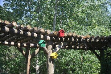 HANGING BIRD HOUSE IN THE WOODS 