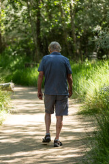 Fototapeta premium Old man out for a walk on a path in a park