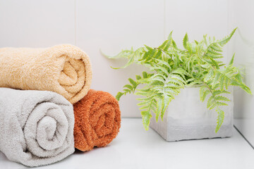 Three rolled towels and a fern in a concrete pot on a shelf in a white bathroom.