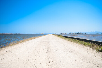 Rice fields near Valencia.