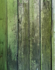 Fototapeta premium Green wood texture background. .Old ragged painted fence.