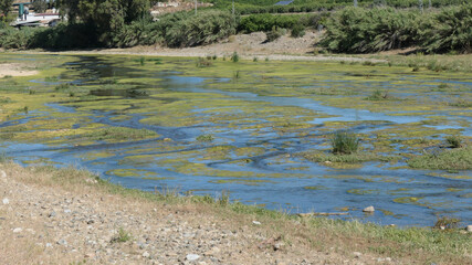 Summers day at Rio Grande, Andalusia
