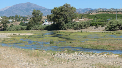 Summers day at Rio Grande, Andalusia