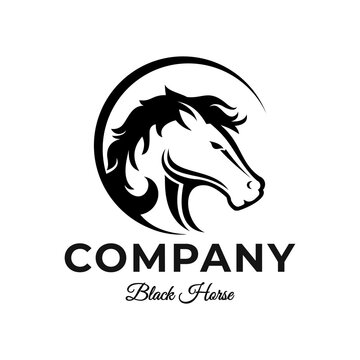 Luxury Black Horse Logo Template