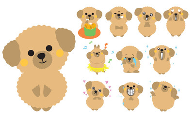Poodle Dogs Flat style cartoon vector