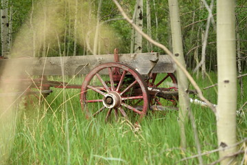Fototapeta na wymiar Wagon wheel