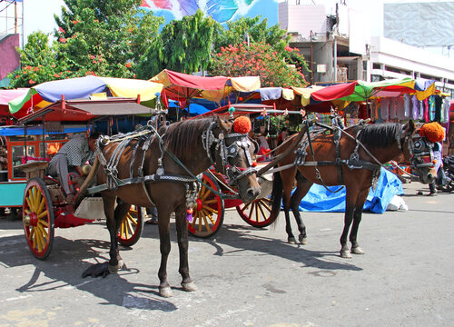 Horse and carts or Delman's as transportation awaiting customers outside a traditional market in Padang City, West Sumatra, Indonesia.