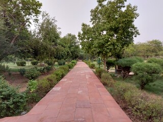 Obraz premium path in the park