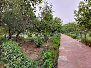 path in the park