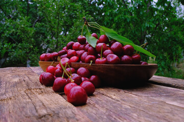 Ripe natural sweet cherry on a wooden background from old boards, in the background green trees