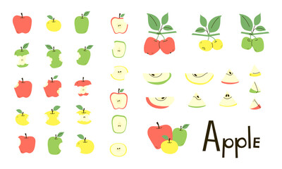 Apple whole, cut, bitten, apple core. Apple half and slices. Apple tree branches with leaves. Set of vector objects in red, yellow, green colors isolated on white. Positive flat design. Cartoon style