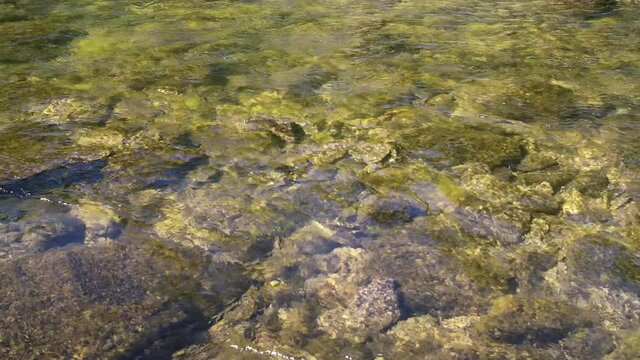 Stones Under The Water In Stream Of River