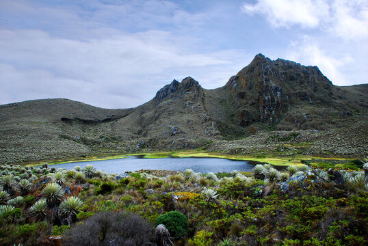 P&aacute;ramo de Sumapaz
