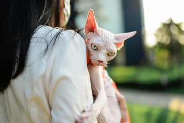 Woman hold hairless cat outside for walking