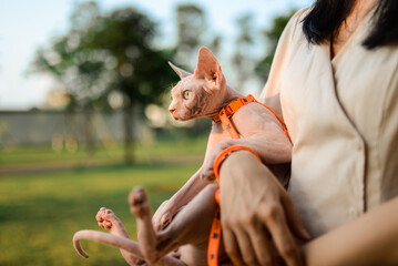 Girl wear mask hold hairless cat by arms outside, summer time with greens