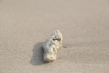 Beautiful Beach and Waves at Sunda Strait