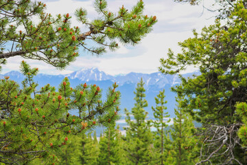 Canadian Mountains with Trees, Rocks, and Lakes