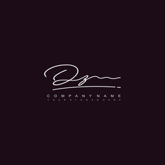 DZ initials signature logo. Handwriting logo vector templates. Hand drawn Calligraphy lettering Vector illustration.