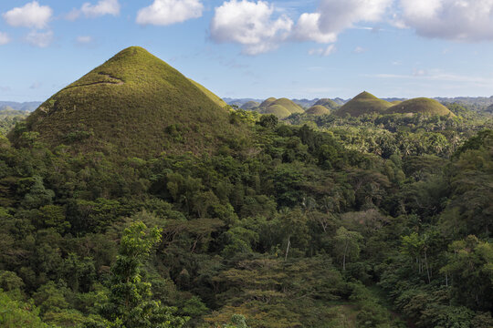 Chocolate hills. Unique truffle shaped formations is the main attraction of Bohol island, Philippines