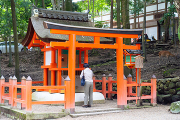 Fototapeta na wymiar Woman praying at a Japanese shrine