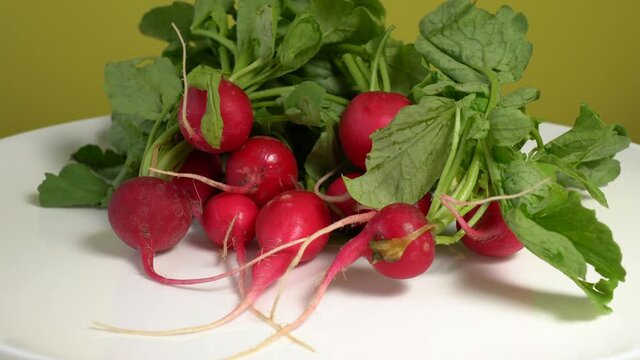 Closeup view 4k video footage of many riped red radishes apper on white plate. Healthy organic vegetables of eco farm.