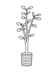 Fototapeta na wymiar Interior plant in a pot for room decoration hand drawn vector illustration doodle