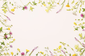Obraz na płótnie Canvas beautiful wild flowers on white background