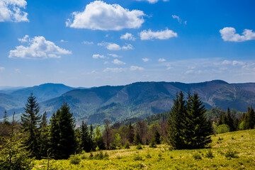 a Carpathian landscape