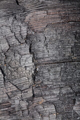 black charcoal texture close-up