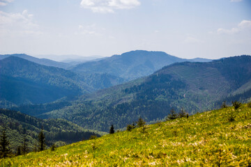 a Carpathian landscape
