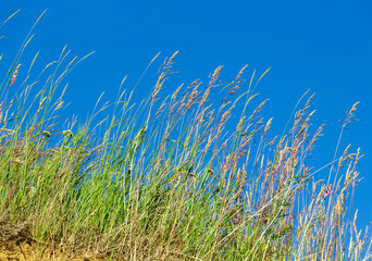 Orange rock close-up against a blue sky.